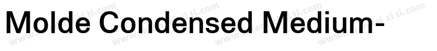 Molde Condensed Medium字体转换
